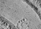 084 Footprint
